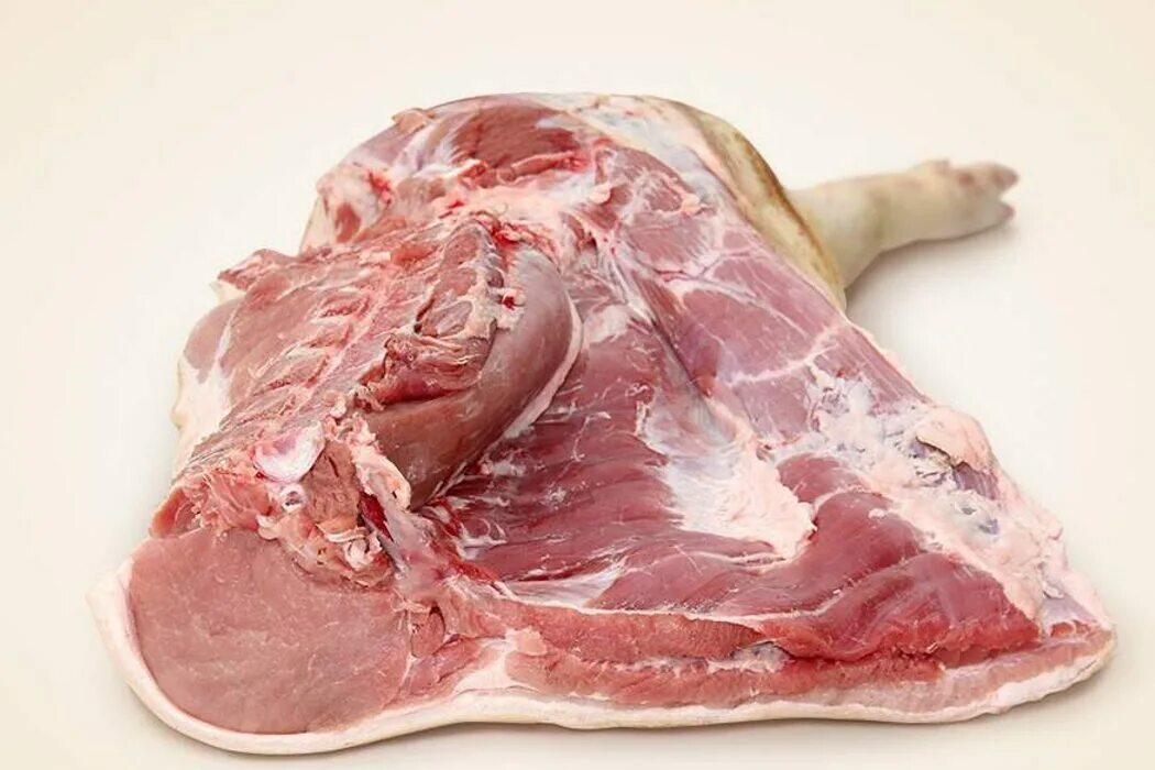 Свинина. Передняя часть свинины. Мясо домашних свиней