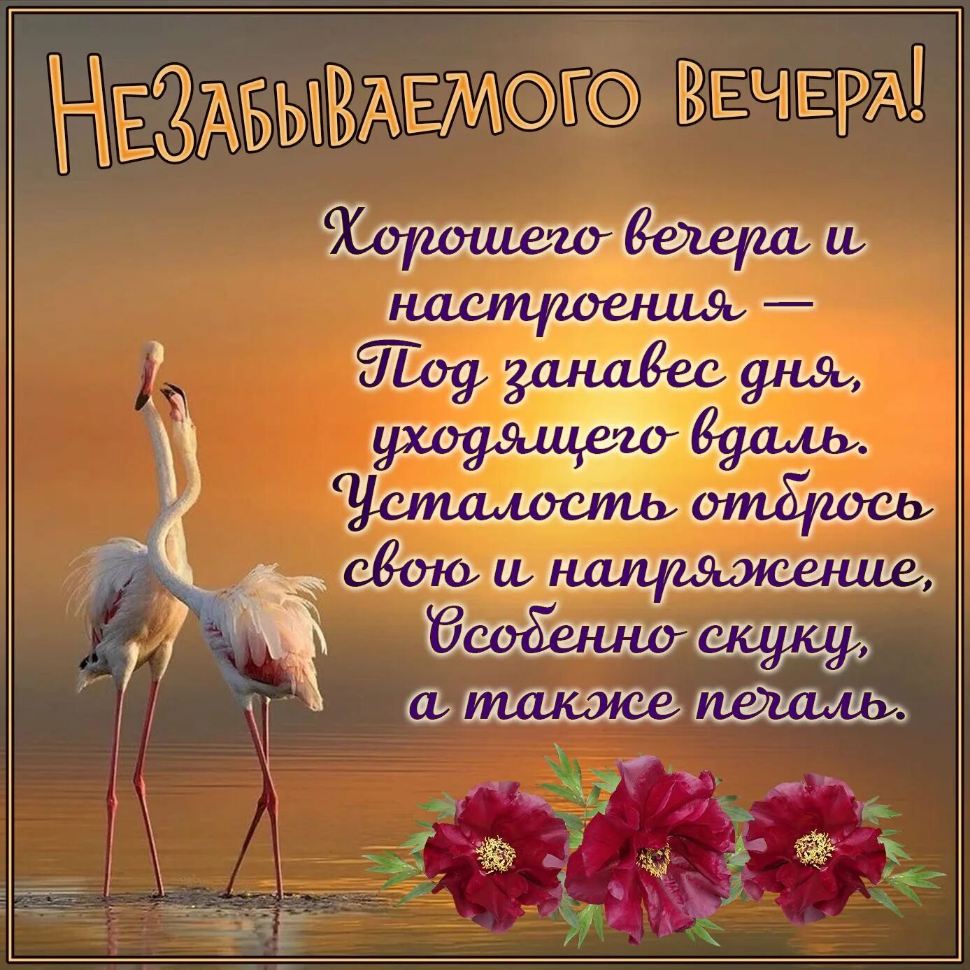 Пожелание доброго вечера в стихах короткие. Пожелания доброго вечера в прозе короткие. пожелания доброго вечера с птицами. добрый вечер с красивыми птичками и пожелания. добрый вечер в прозе женщине.