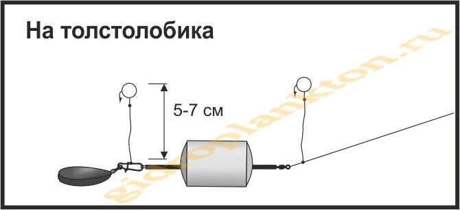 Донная снасть на технопланктон. Оснастка для технопланктона Гидропланктон. Донная снасть для технопланктона. Монтаж донной снасти на толстолоба. Ловля на технопланктон