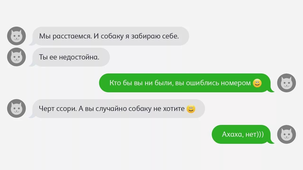 Бот парень на русском. Переписка с ботом деву. Переписка с ботом девушкой. Переписка с ботом. Переписка Толяна и Евы.