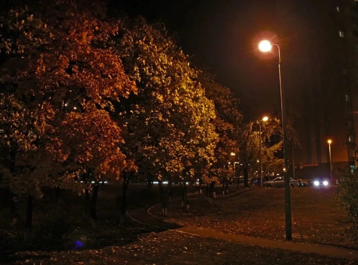 Ночь 5 сентября. Осень в городе. осень ночь. осенний вечер в городе. осенняя ночь в городе.