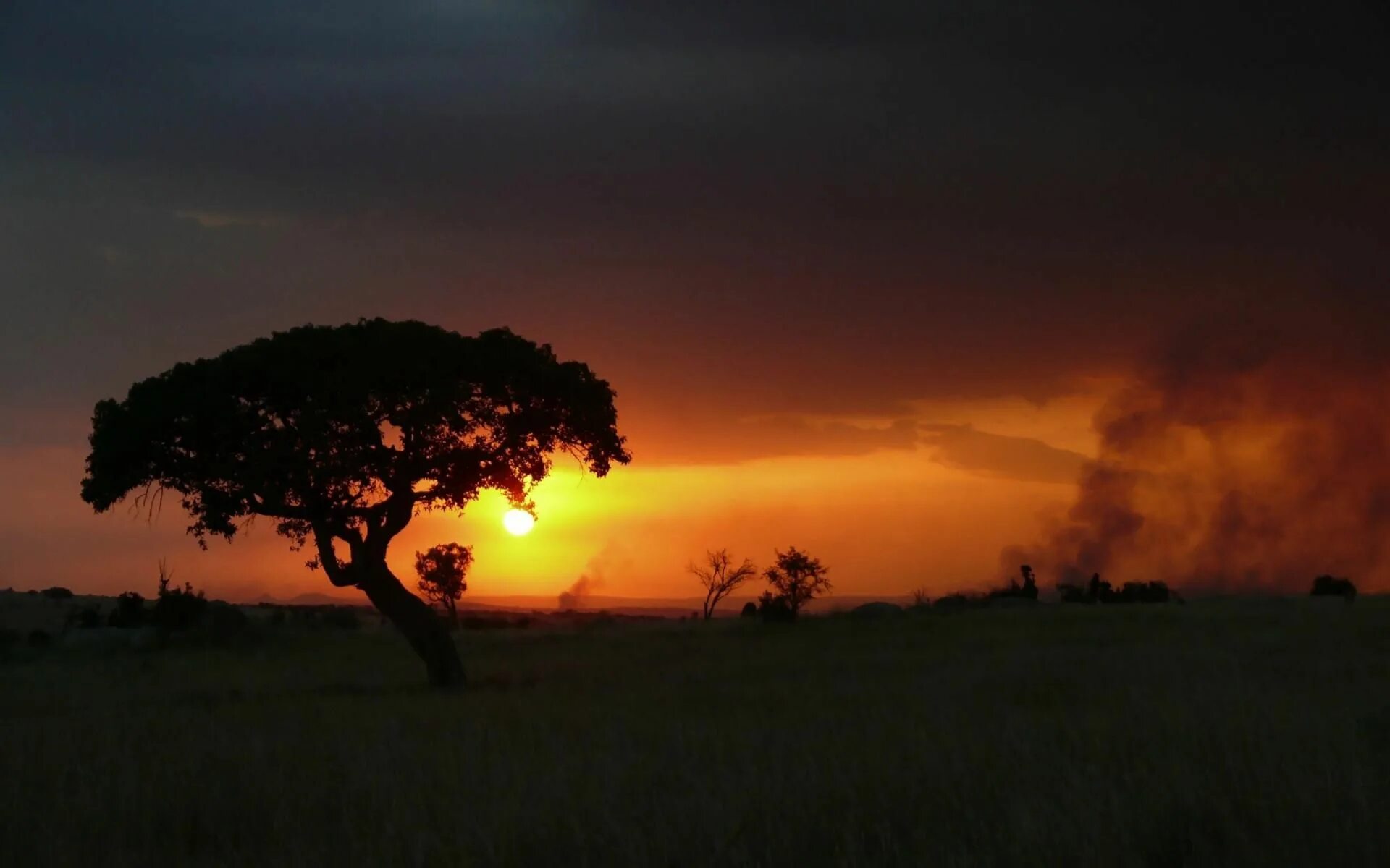 Каждое утро в африке. Луна в саванне. Танзания закат. Танзания обои.