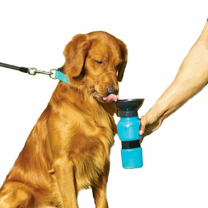 Поилка для собак Aqua Dog. Поилка - бутылка для животных дорожная Aqua Dog 540 мл. RZ-172 поилка для собак Aqua Dog (Аква дог), 550 мл. Поилка для собак Aqua Dog 550 мл (розовая). Купить поилку для собаки