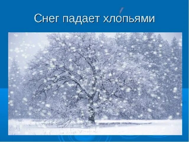 Презентация Снег, снежинки - скачать бесплатно pptx