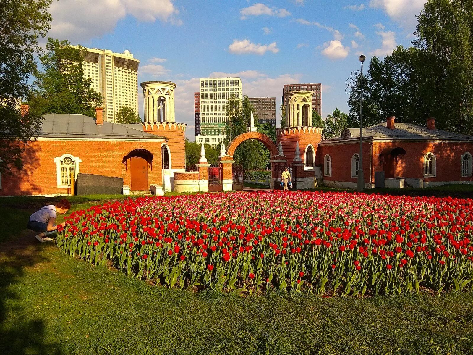 Самые лучшие парки москвы. Воронцовский парк. Усадьба воронцово в Москве. Воронцовский парк в Москве. Воронцовский парк итальянский сад.