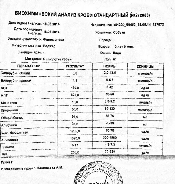 Направление на биохимический анализ крови. Бланк анализа на бруцеллез. Бруцеллез анализ крови. Анализ крови при бруцеллезе. Анализ крови на бруцеллез у человека.