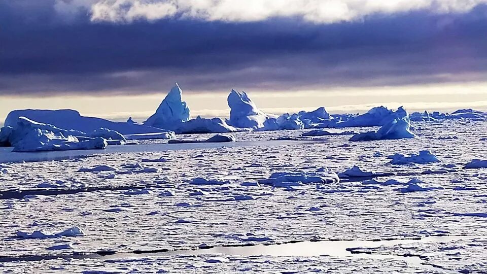 Большой остров покрытый льдами. Море Уэдделла в Антарктиде. Арктика Антарктика Антарктида. Пролив Лемэра Антарктида. Антарктида ледяной материк.