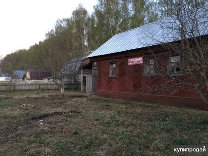 Бирюли