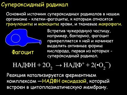 Супероксидный анион радикал