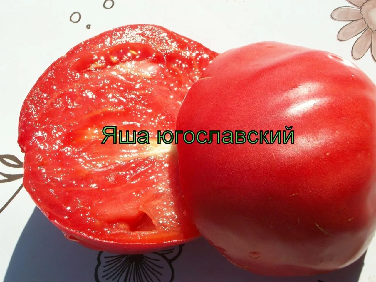 Томат яша югославский отзывы урожайность характеристика. Сорт томата яша югославский. помидор сорт яша югославский. томат яша югославский семена. яша югославский томат описание.