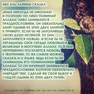 Сказал ибн