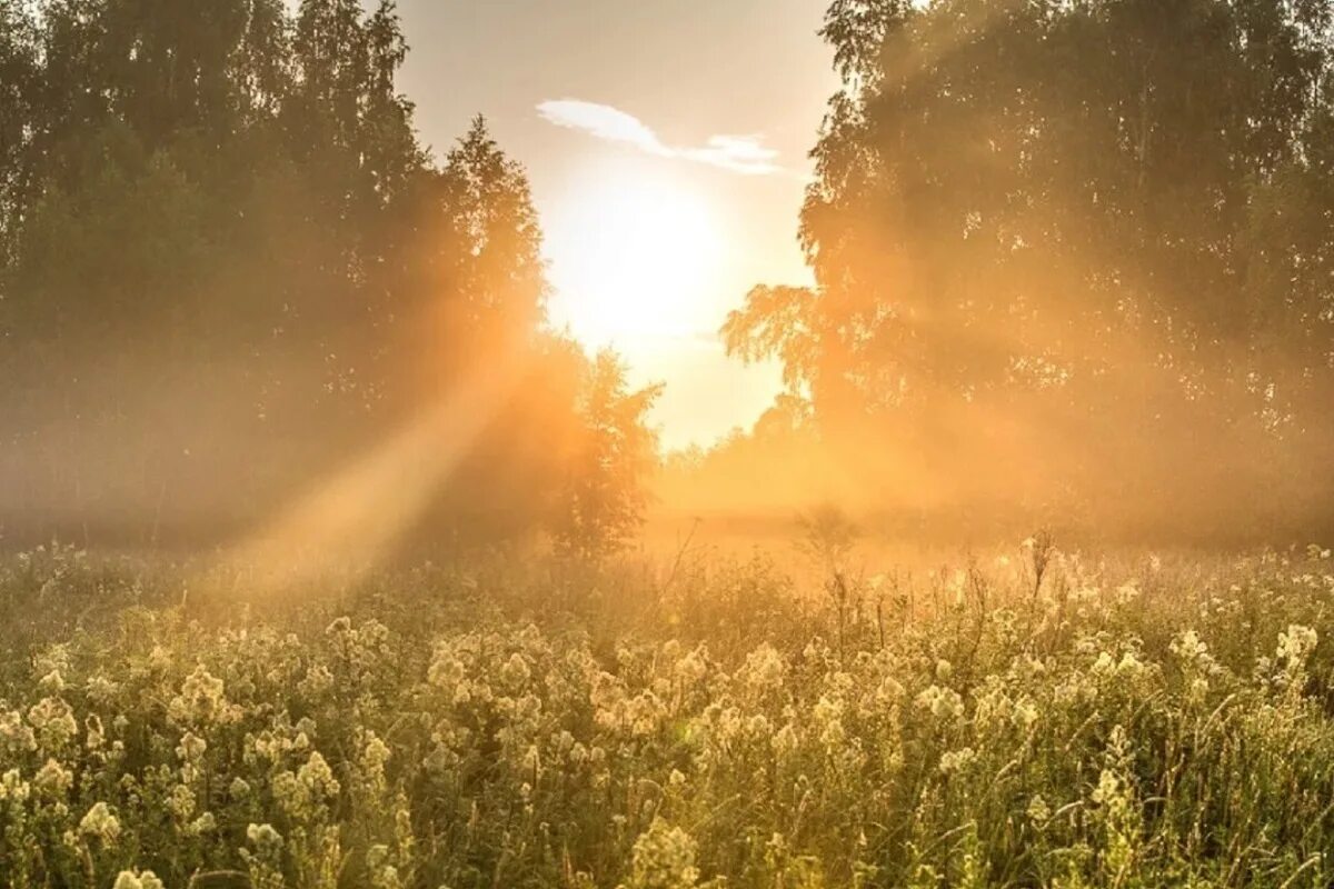 Летний зной. Жаркий летний день. Солнечная природа. Знойное лето. Теплое солнечное летнее