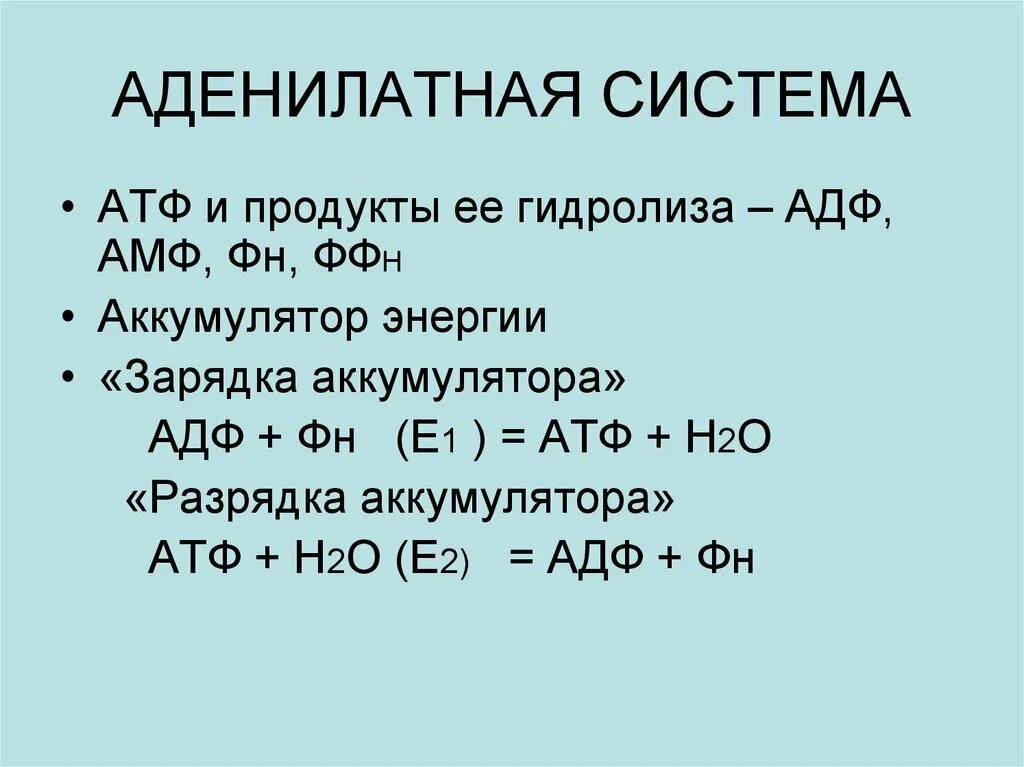 Атф н2о. Аденилатная система. Понятие аденилатной системы.. Аденилатная система биохимия. Гидролиз АТФ.