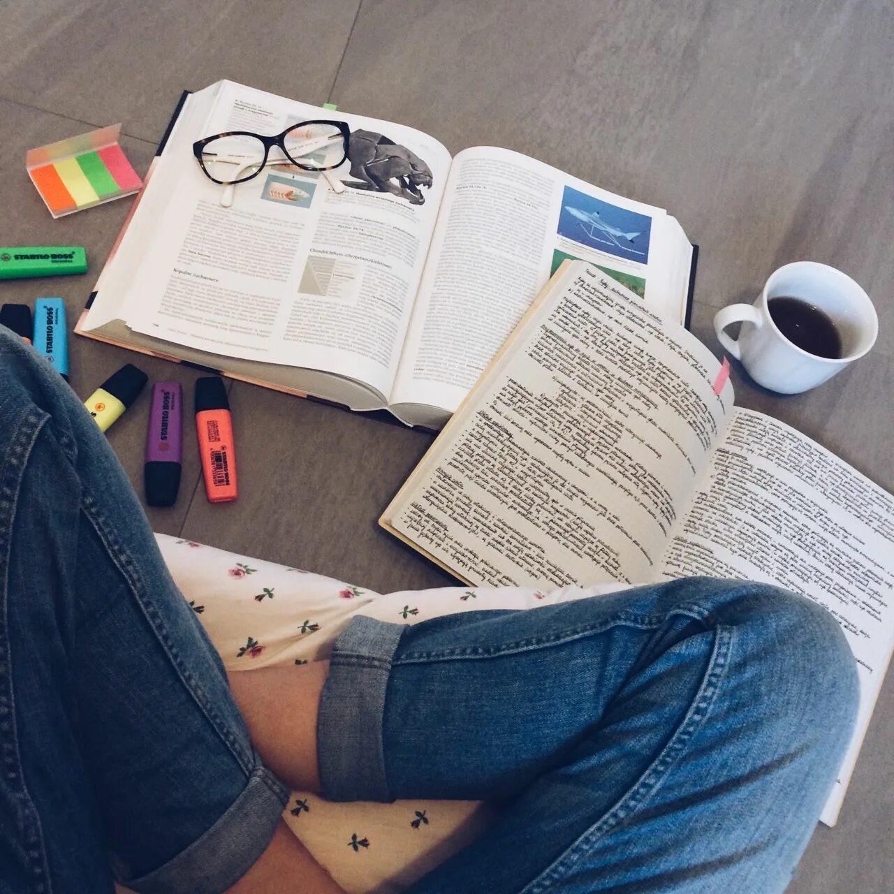 Study bites