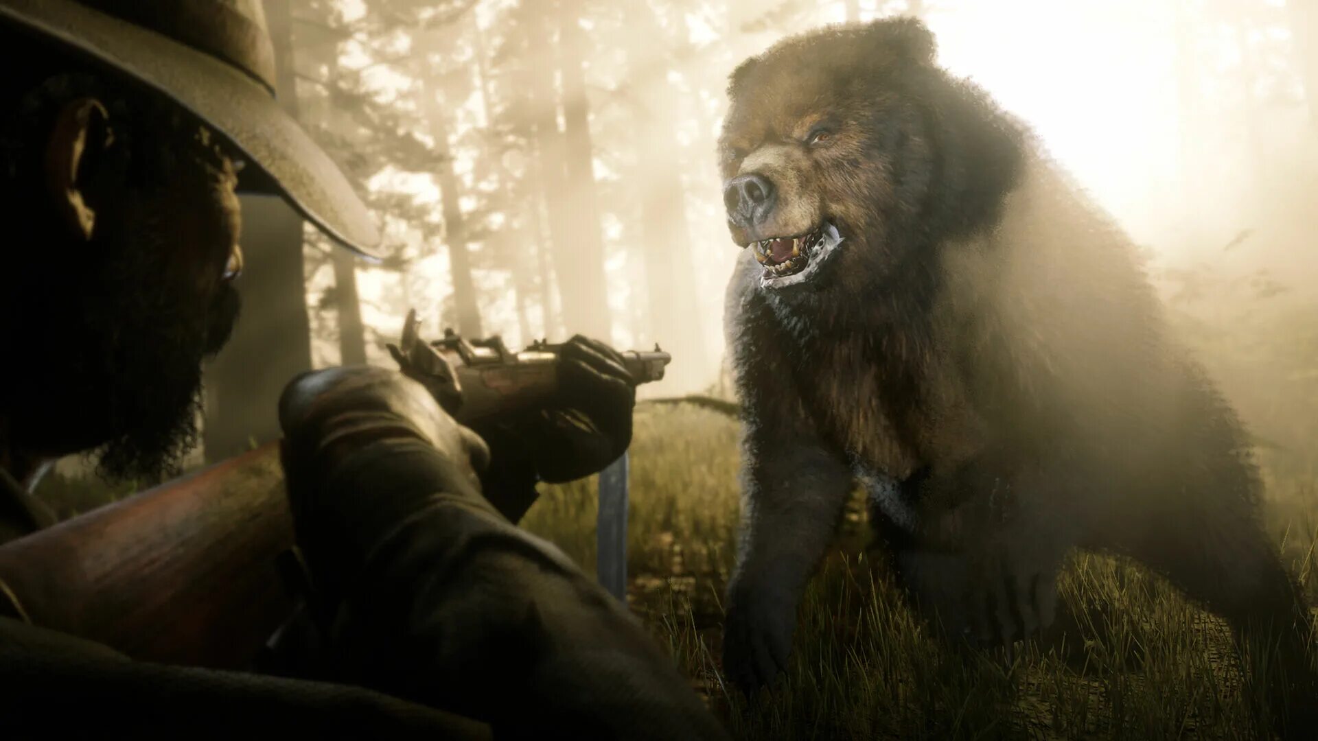 Rdr животные