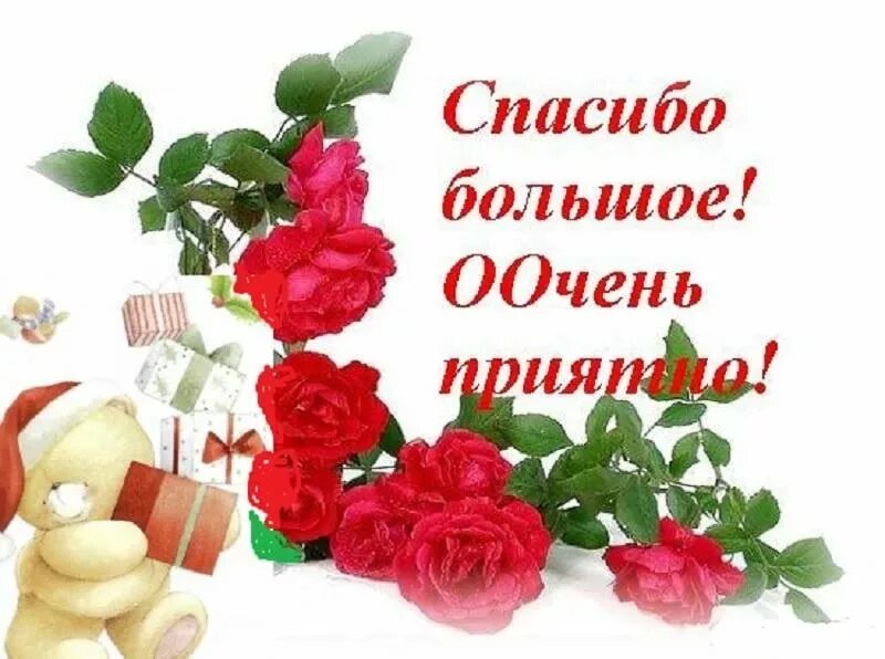 Спасибо за поздравления. Спасибо за поздравления очень приятно. Спасибо большое за поздравления очень приятно. Благодарю за поздравления очень приятно.