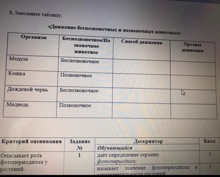 Мадина Зайнитдиновна ВКонтакте