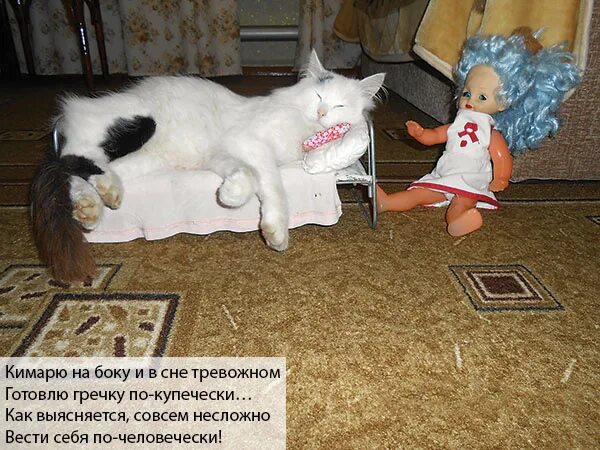 Кимарить. Кимарить это что значит. интерактивная кошка мурлыка hasbro. кимарить или кемарить. смешно кимарит.