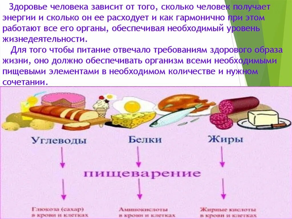 Откуда человек получает энергию. Необходимую для жизнедеятельности энергию человек получает. Откуда человеческий организм получает энергию. Откуда организмы получают энергию.