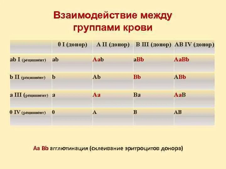 Взаимодействие группы крови