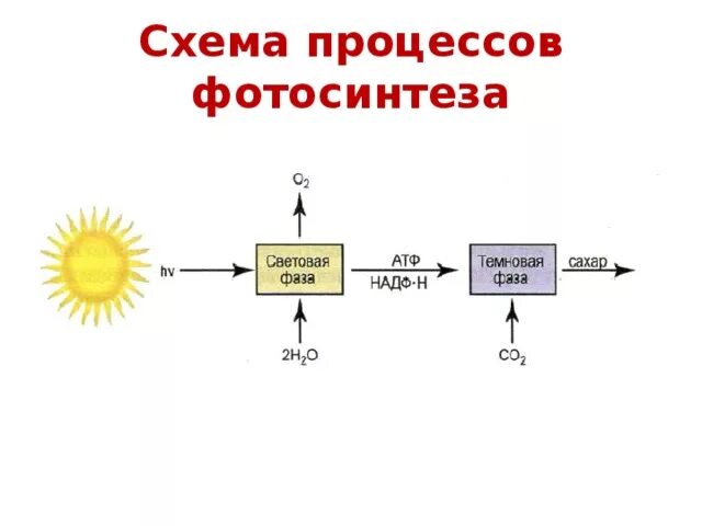 Какое преобразование энергии осуществляется в солнечных