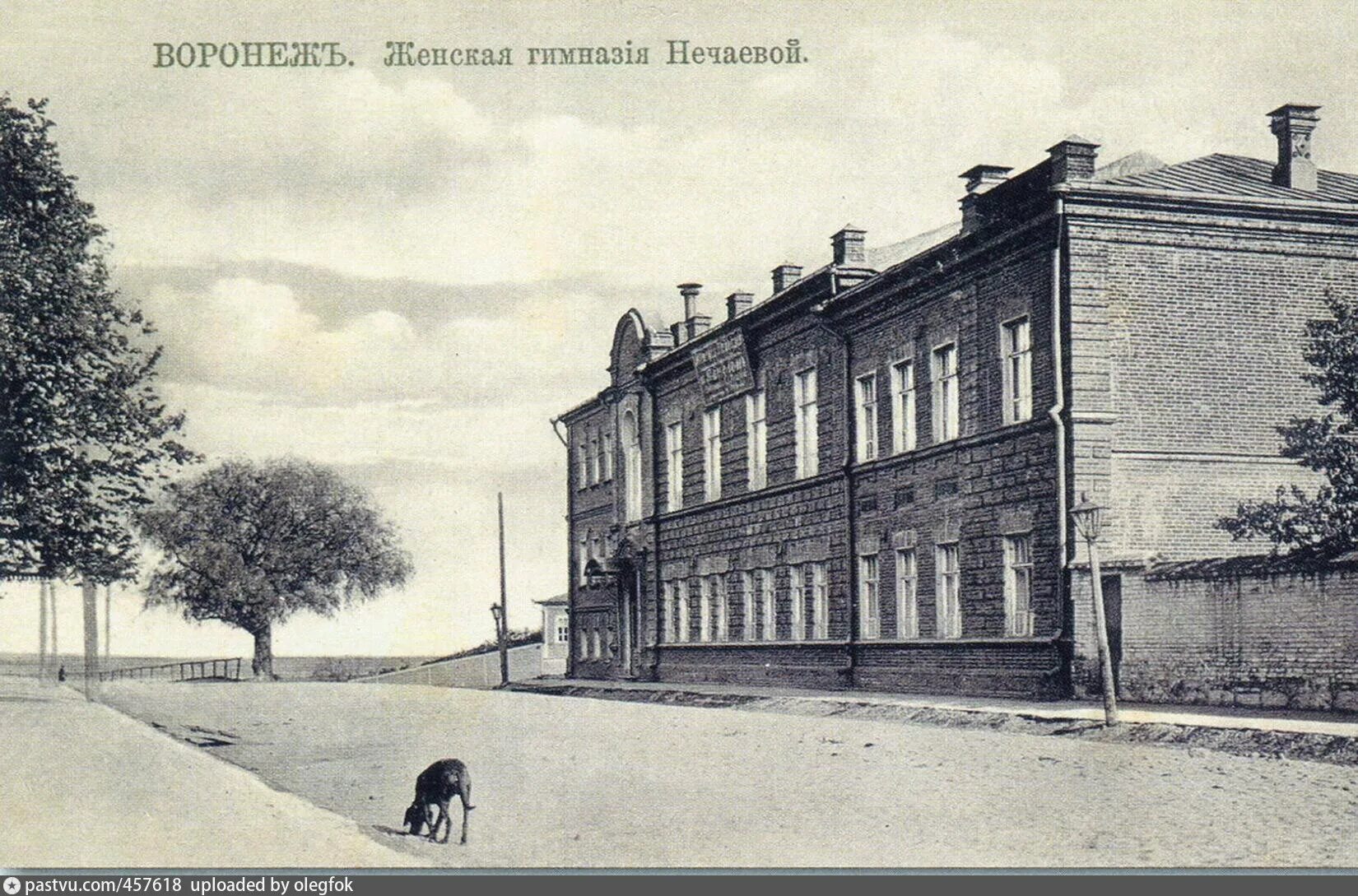 Вторая женская гимназия улица московская. Гимназия басова воронеж сакко и ванцетти. Где располагались гимназии. Где располагались гимназии. Где располагались гимназии.