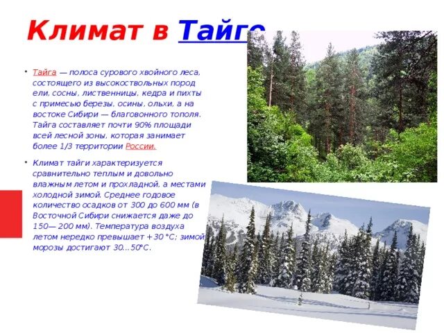 Природная зона тайга климатический пояс. Климат тайги в России. Тайга природная зона климат. Климатические условия тайги. Климат тайги летом.