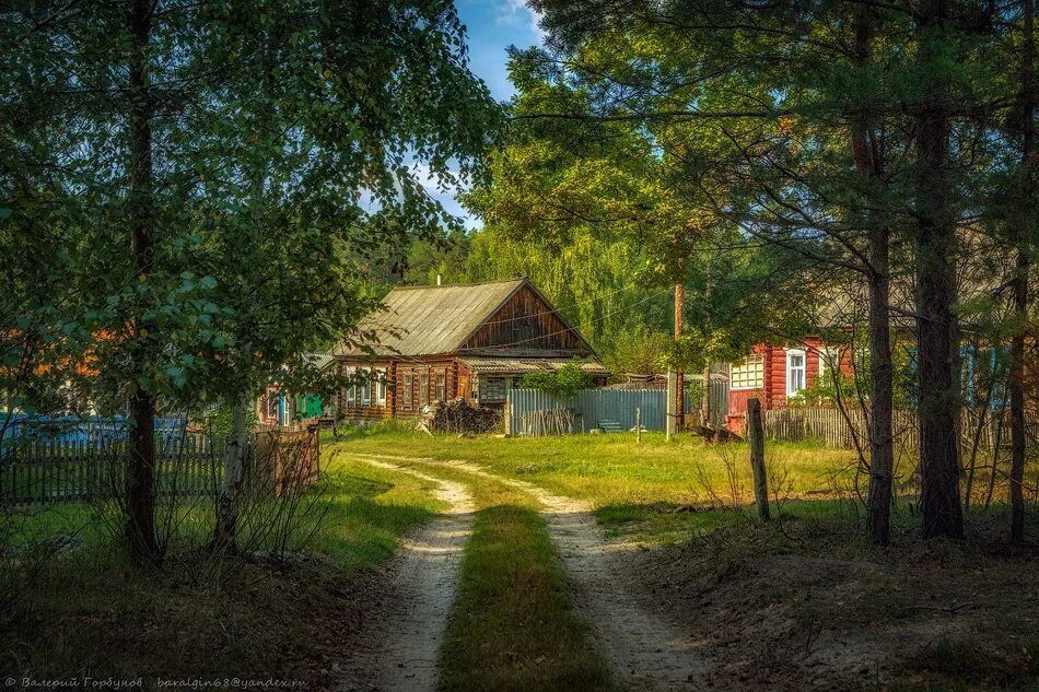 Большое село улицы. Деревня в лесу. Деревня на опушке леса. Лесная деревня. Деревня у леса.