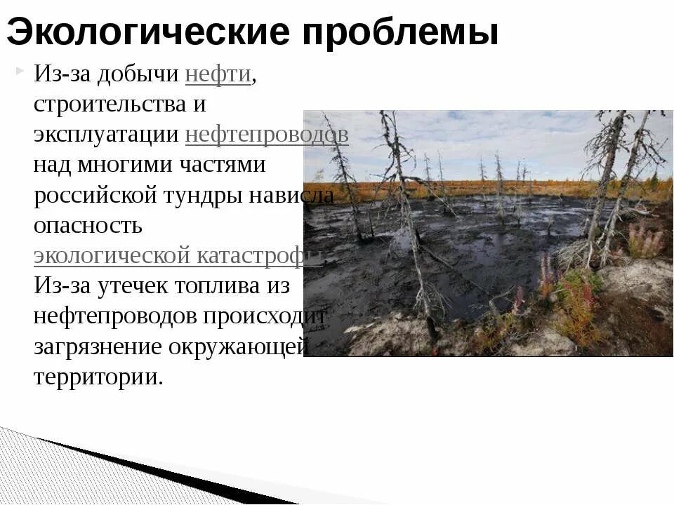 Проблемы тундры в россии. Экологические проблемы добычи нефти. Экологические проблемы нефтедобычи. Экологические проблемы связанные с добычей нефти. Экологические проблемы из за нефти.