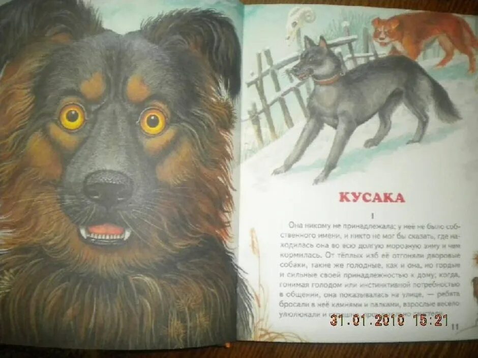 Л кусака читать. Иллюстрации к книгам кусака.