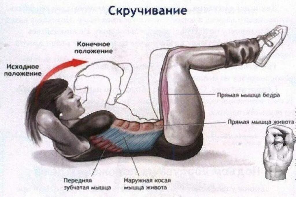 Упражнения на пресс. Как правильно дышать при прессе. Комплекс упражнений на пресс для начинающих. Брюшное диафрагмальное дыхание. Дыхательная гимнастика для диафрагмы.