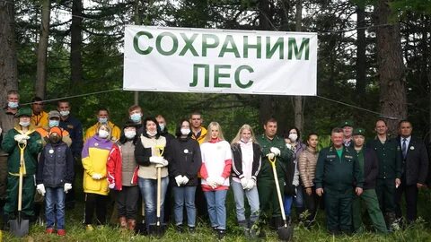 Камчатские лесничества