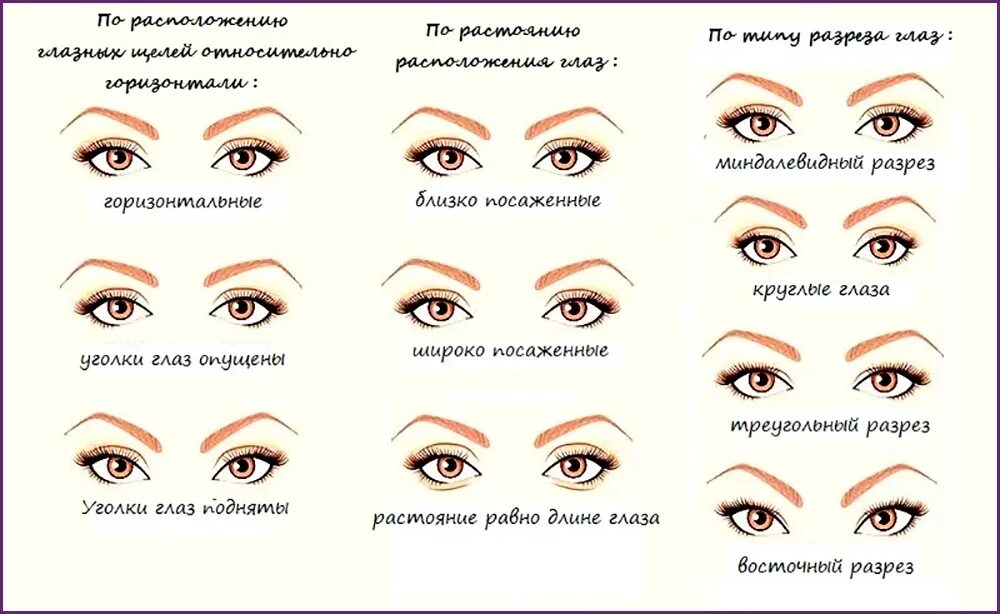 Как подобрать ресницы по форме глаз. Миндалевидные глаза формы глаз. Щелевидная форма глаз схема. Как определить Тип глаз. Типы разреза глаз.