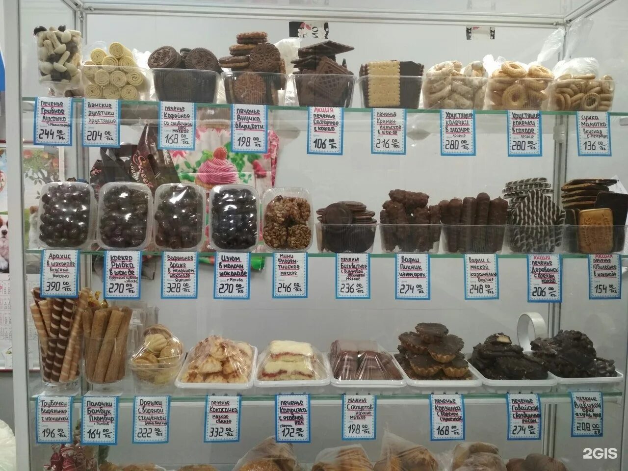 белинского 55 пермь. магазин 4 лапы пермь. зоомагазин 4 лапы луганск. зоомагазин 4 лапы. 4 лапы пермь.