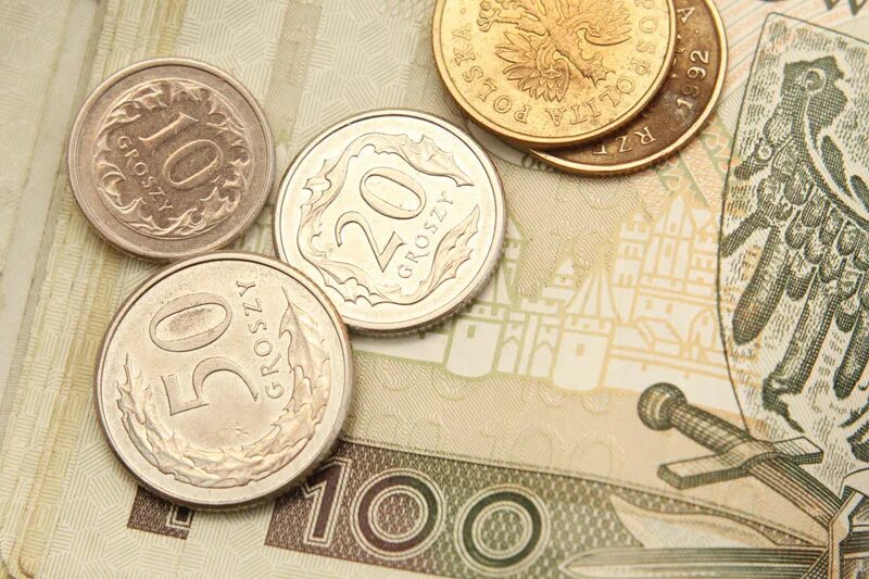 Польская денежная единица. Польские деньги. Валюта Польши. Злотый к евро. Как выглядят деньги Польши.