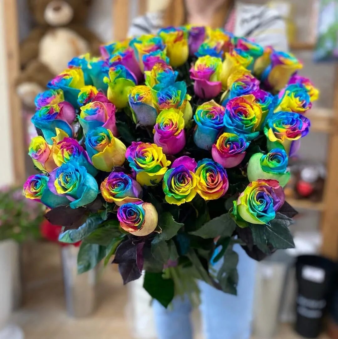 флорес рейнбоу роза. роза рейнбоу. голландская радужная роза. радужная роза мондиаль. роза радуга эфиромасличная.