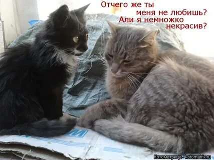 Отчего же