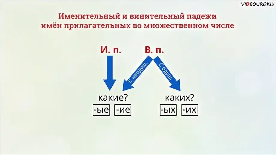 Отличить родительный от винительного в существительных. Винительный падеж имен прилагательных во множественном числе. Как определять родительный и винительный падежи имен прилагательных. Винительный падеж прилагательных множественного числа 4 класс. Именительный падеж и винительный падеж прилагательных 4 класс.