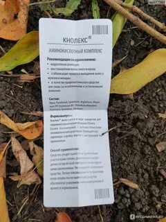 Провели отзывы