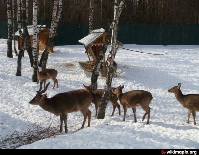 Загон для оленей