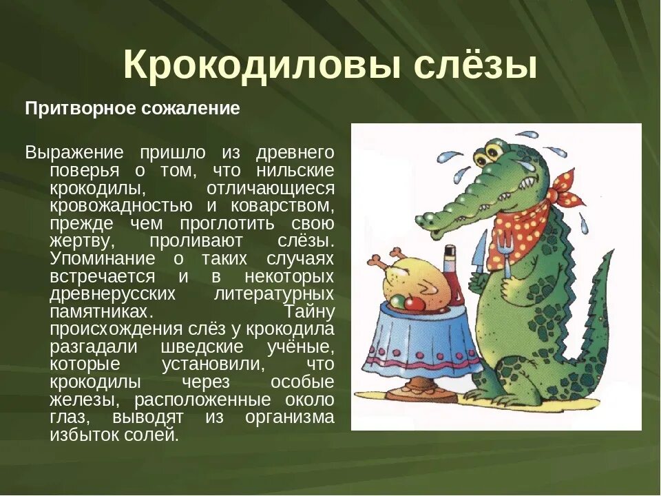 Крокодиловы слезы что хотел сказать автор. Крокодиловы слёзы происхождение фразеологизма. Крокодильи слезы происхождение фразеологизма. Фразеологизм Крокодиловы слезы. Фразеологизмы про крокодила.