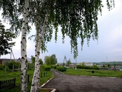 Белгород мясоедово