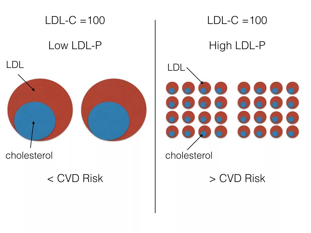 LDL cholesterol норма. LDL-C. Анализ LDL - cholesterol.