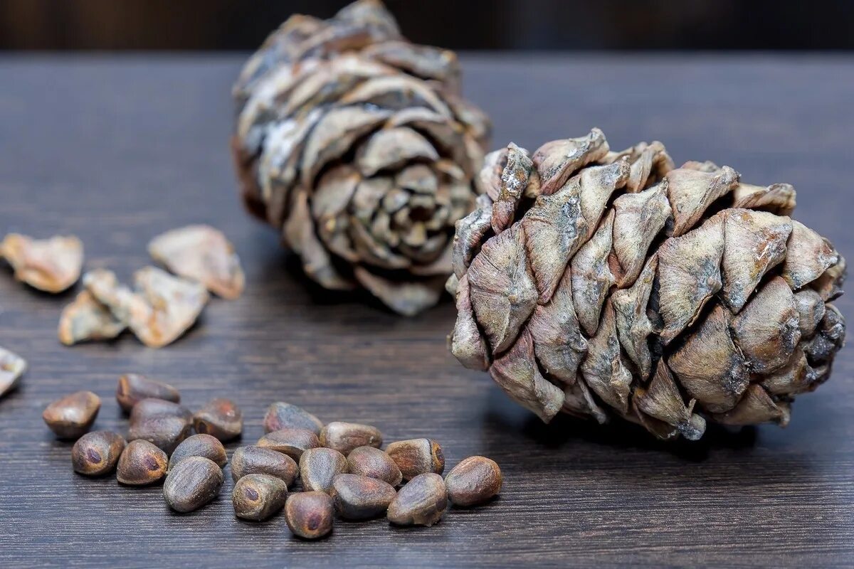 Шишки сосны кедровой сибирской. Кедр сибирский орехи. Орехи в шишках. Орехи в шишках. Сибирский кедр орешки.