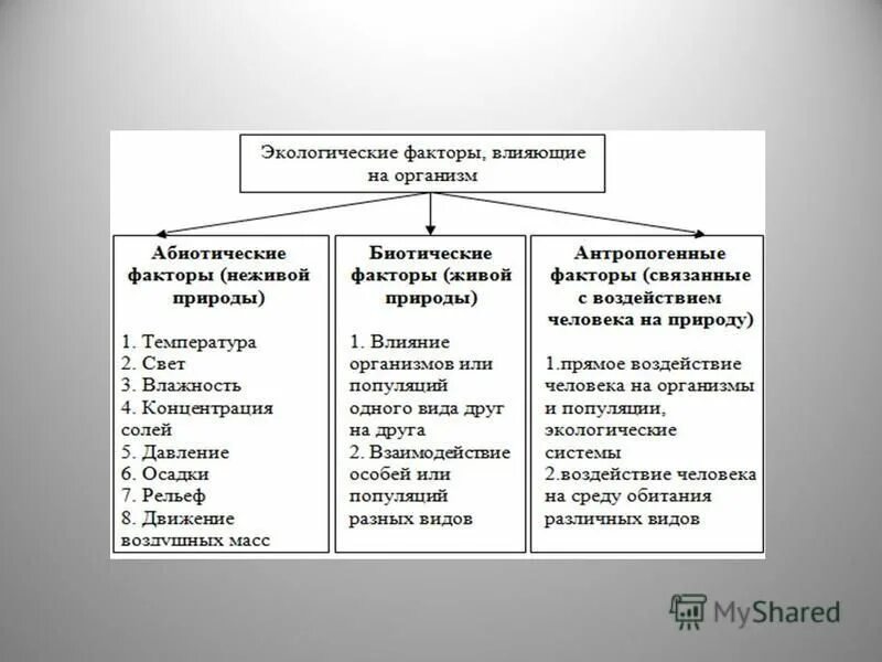 Экологические факторы среды обитания схема. Экологические факторы влияющие на организм. Влияние экологических факторов на организмы. Влияние экологических факторов среды на организмы.