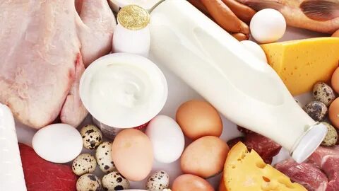 Продукты скотоводства