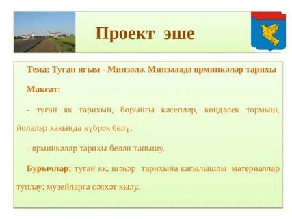 Проект туган