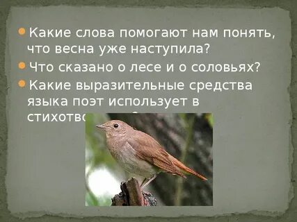 Сельская песенка 2 класс