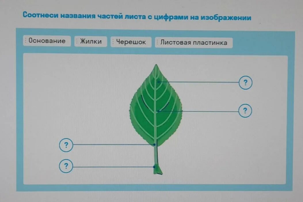 Соотнеси элементы. Соотнеси элементы