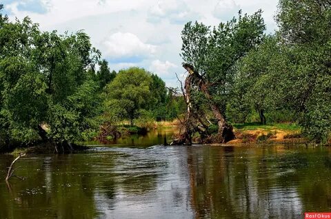Река шерна